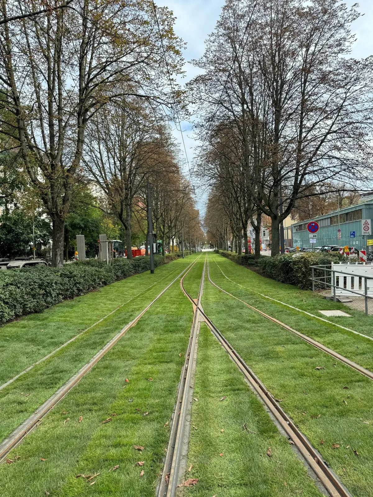 Durchgehender begrünter Gleisbereich