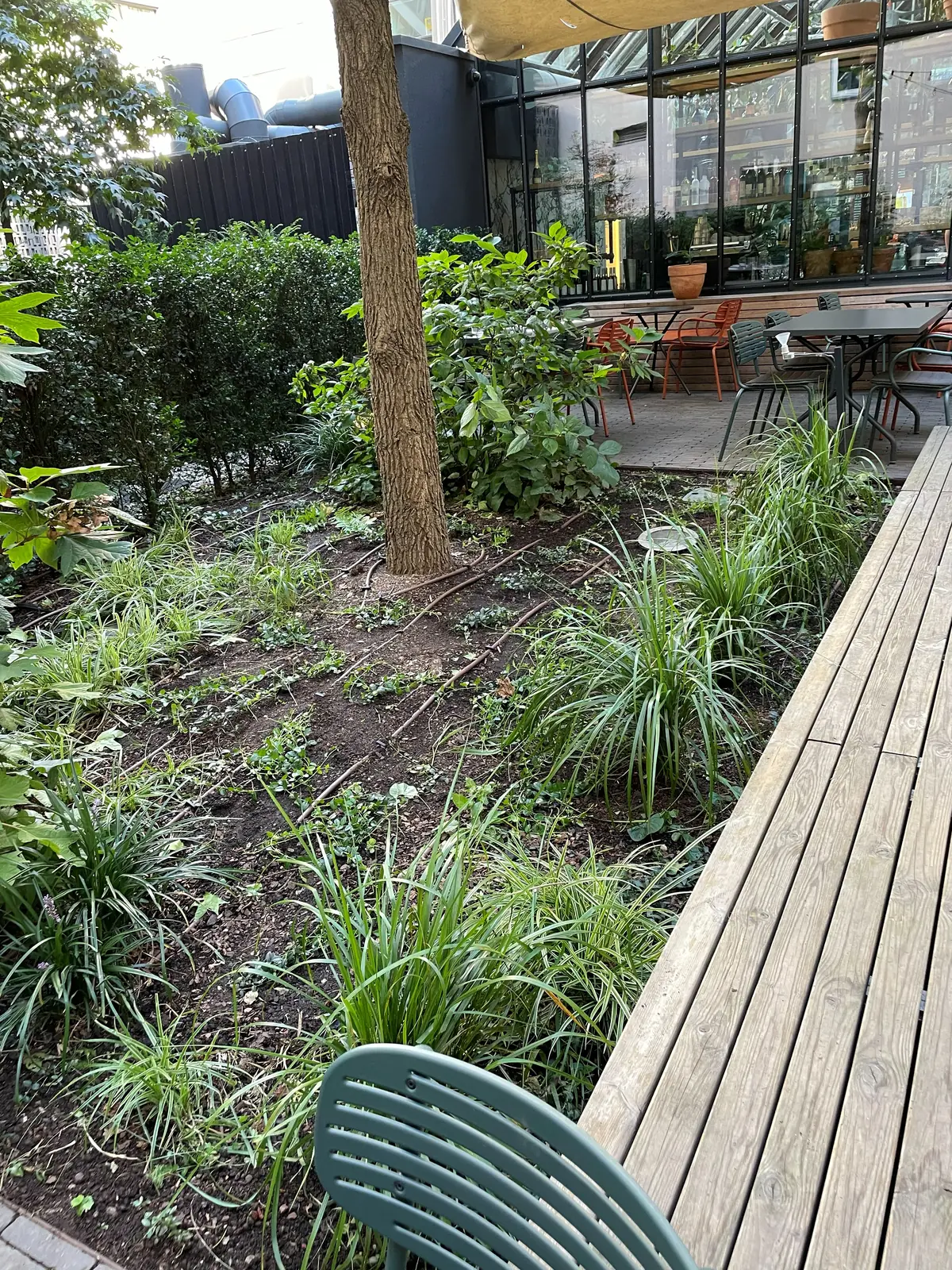 Bepflanzung entlang eines Holzdecks