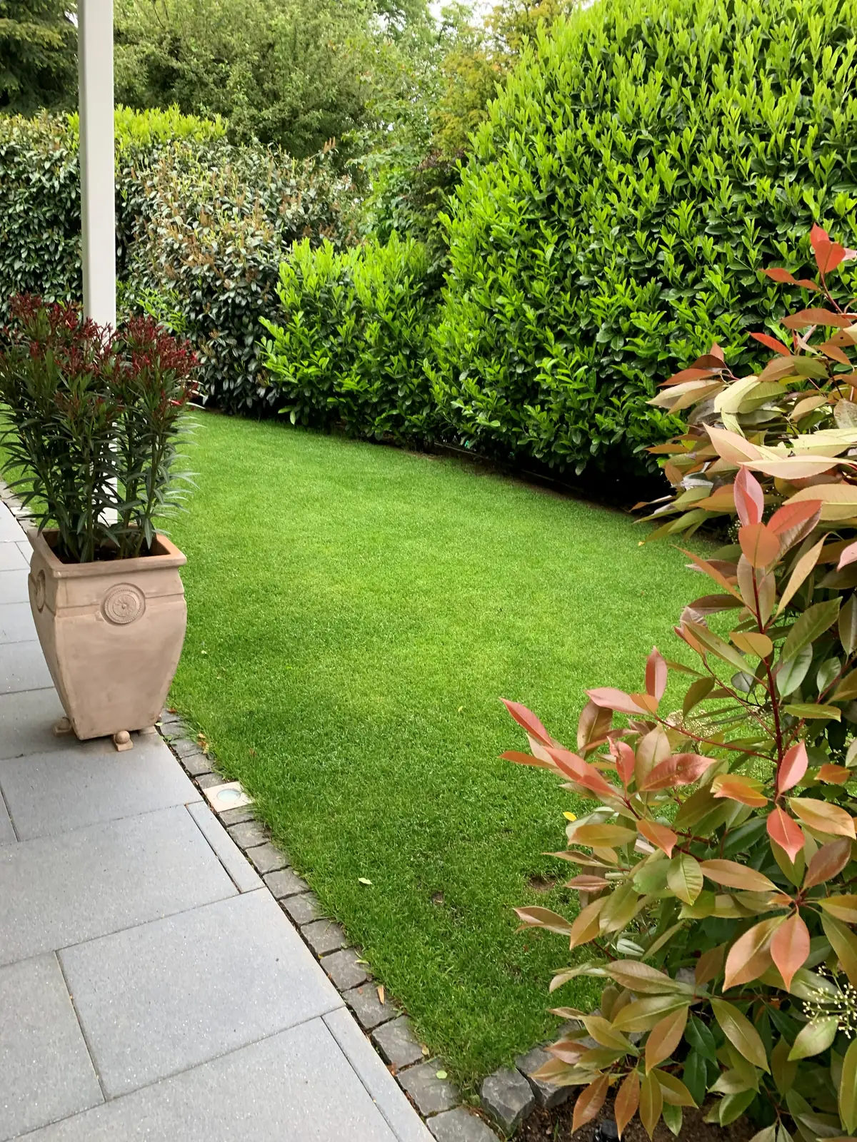 Garten mit Rasen, Hecken und Pflanzkübeln