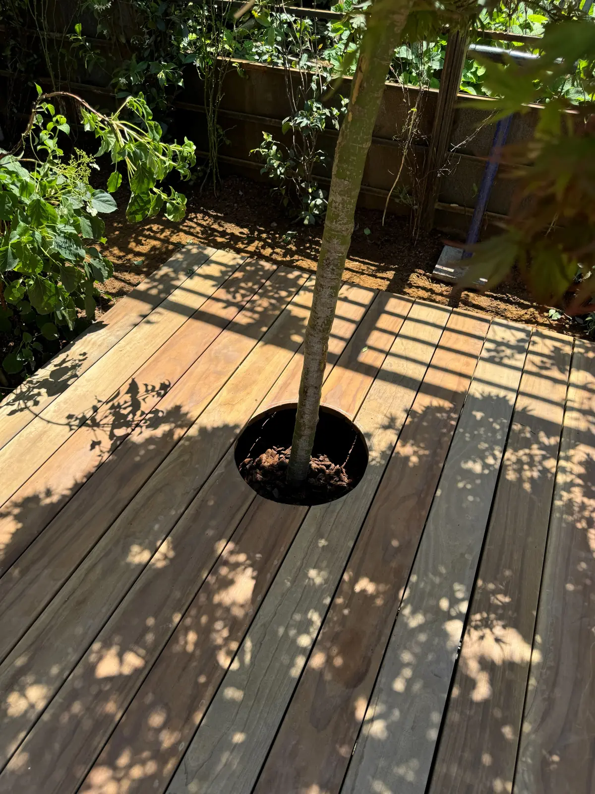 Holzdeck mit Aussparung für einen Baum