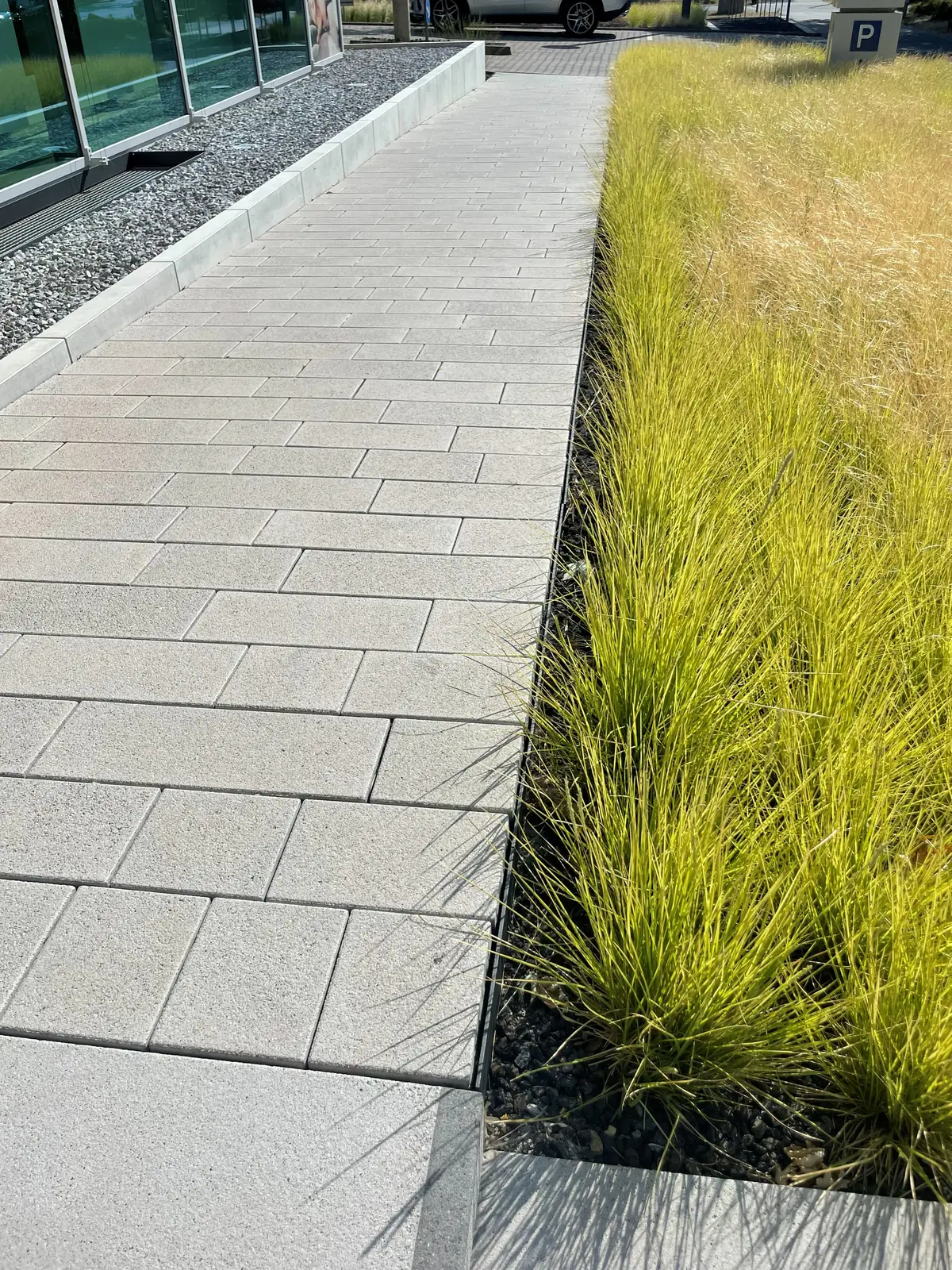 Plattenweg entlang einer Gräserpflanzung
