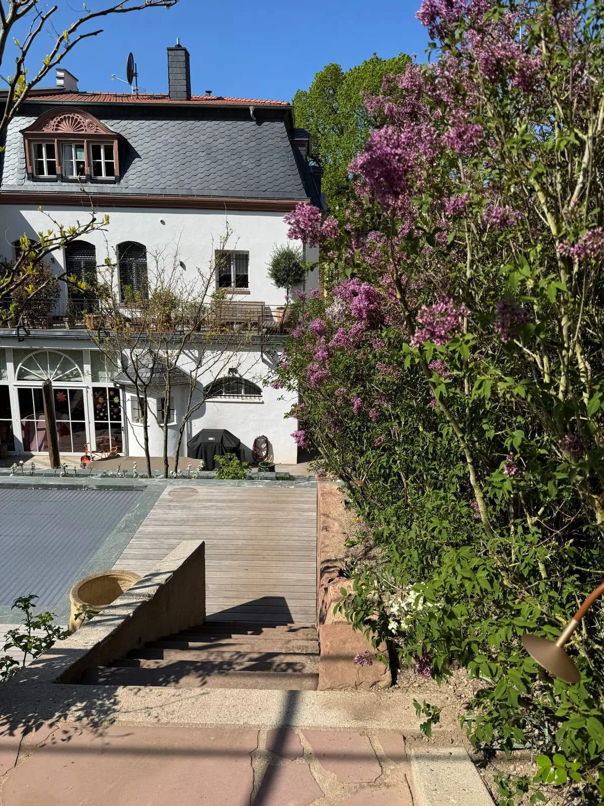 Pool, Holzdeck und Bepflanzung
