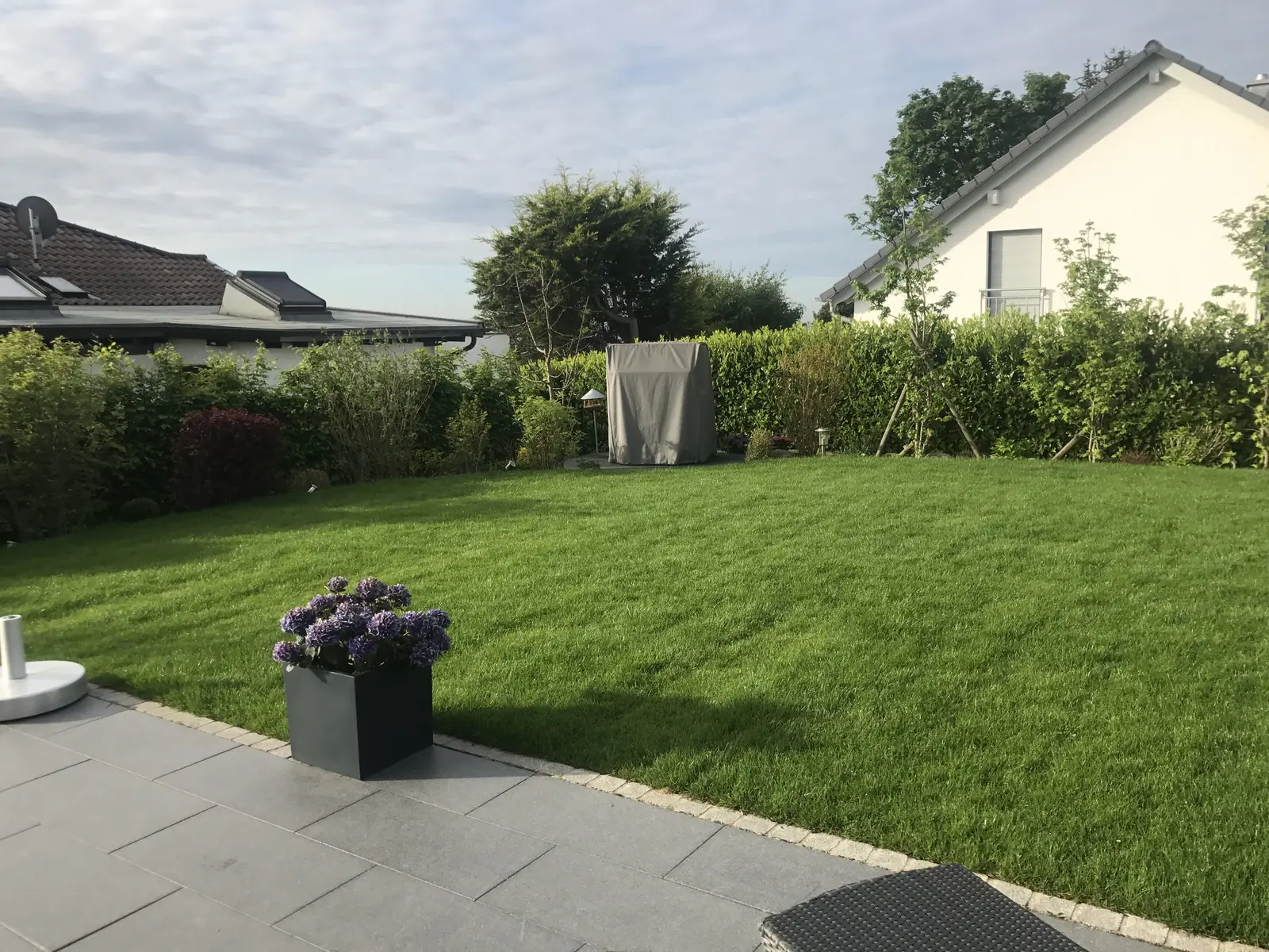 Rasengarten mit Terrasse und Hecke