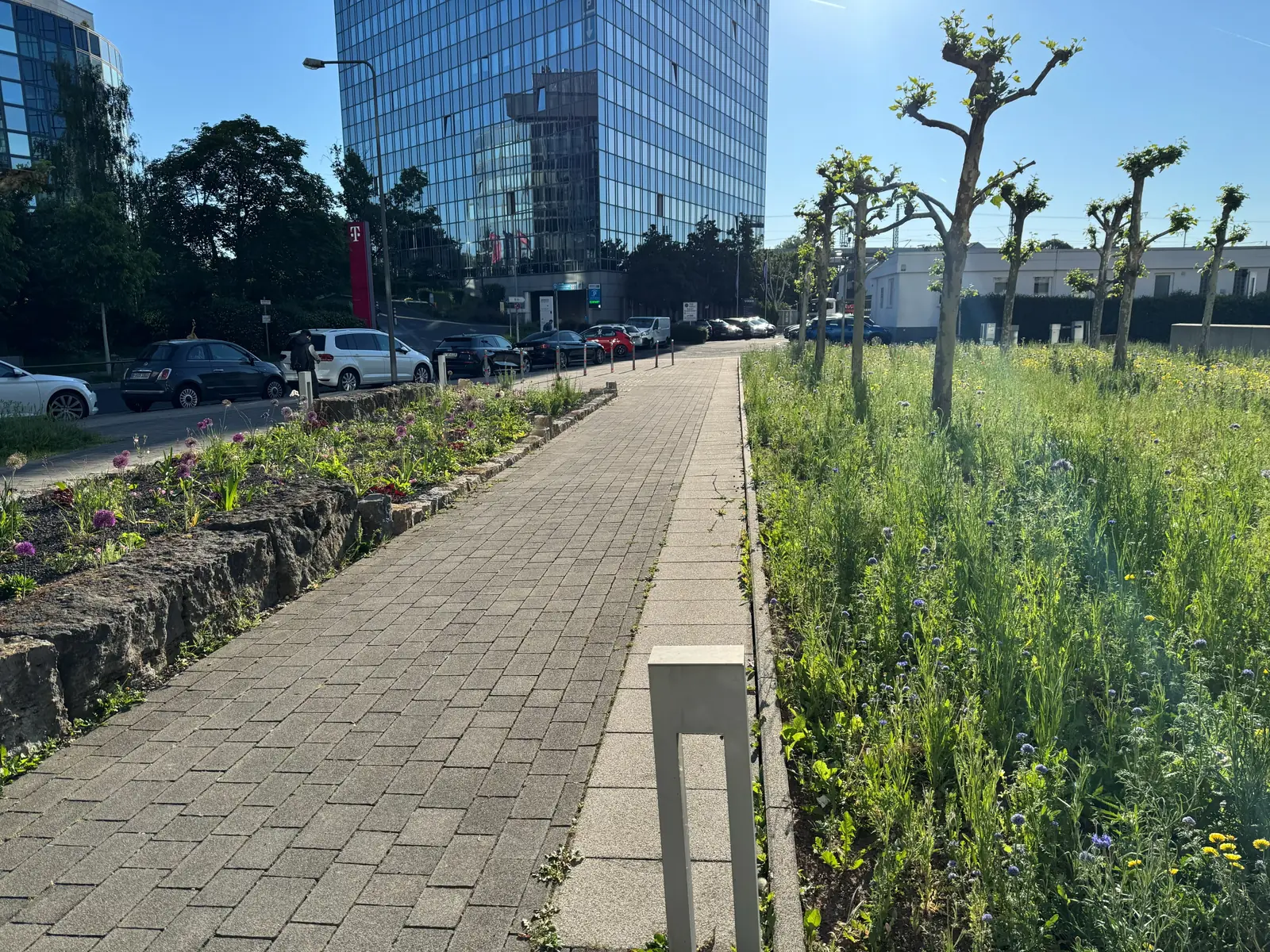 Staudenbeete entlang eines gepflasterten Stadtwegs